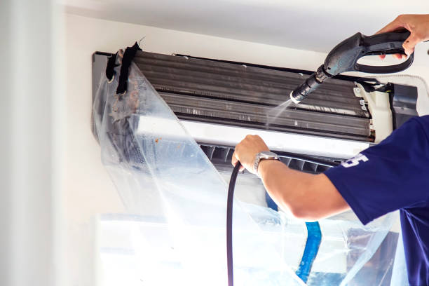 Best Professional Duct Cleaning Services  in Rockwood, MI