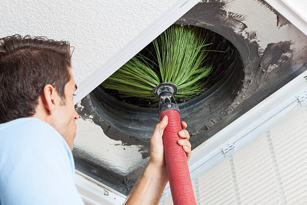 Best Ductwork Cleaning Services  in Rockwood, MI