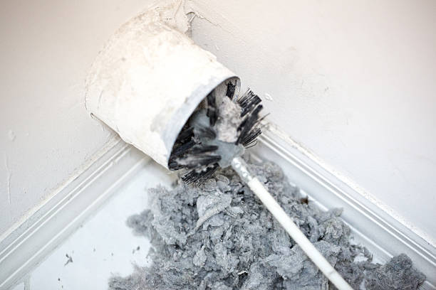 Best Best Air Duct Cleaning Company  in Rockwood, MI